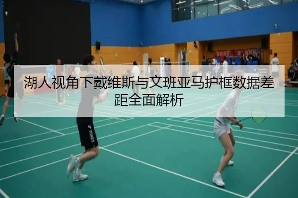 湖人视角下戴维斯与文班亚马护框数据差距全面解析