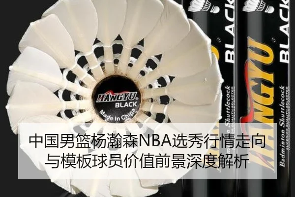 中国男篮杨瀚森NBA选秀行情走向与模板球员价值前景深度解析